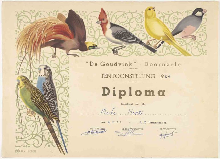 Diploma-De-Goudvink-Doornzele-1961