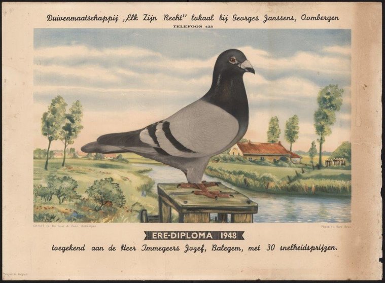 Erediploma-Duivenmaatschappij-Elk-zijn-Recht-1948