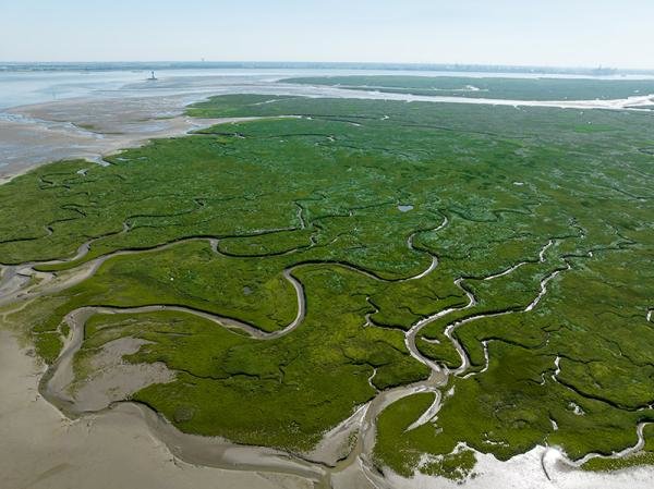 VERDRONKEN_LAND_SAEFTINGHE